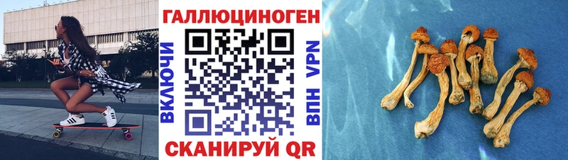 Галлюциногенные грибы Psilocybine cubensis  Катайск 